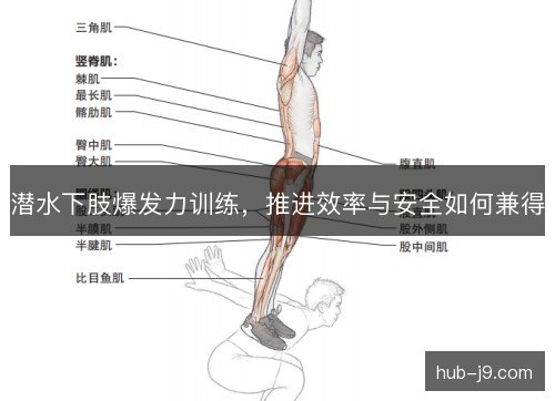 潜水下肢爆发力训练,推进效率与安全如何兼得 潜水下肢爆发力训练,推进效率与安全如何兼得
